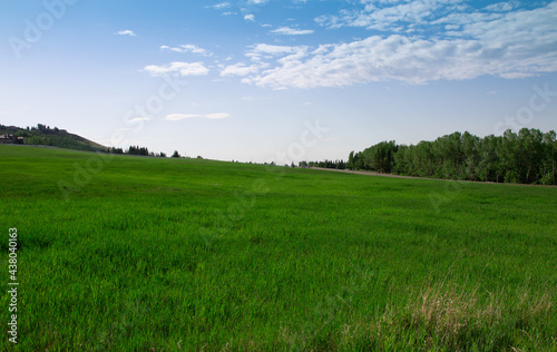 Countryside landscape, rural Alberta, pasture, endless sky