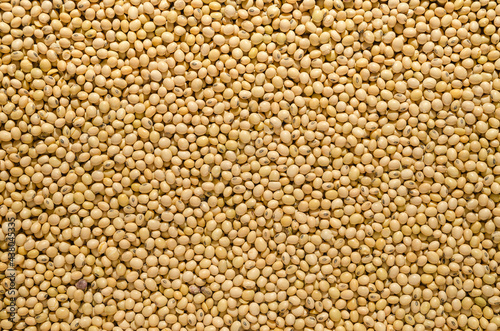Close up of soya beans background