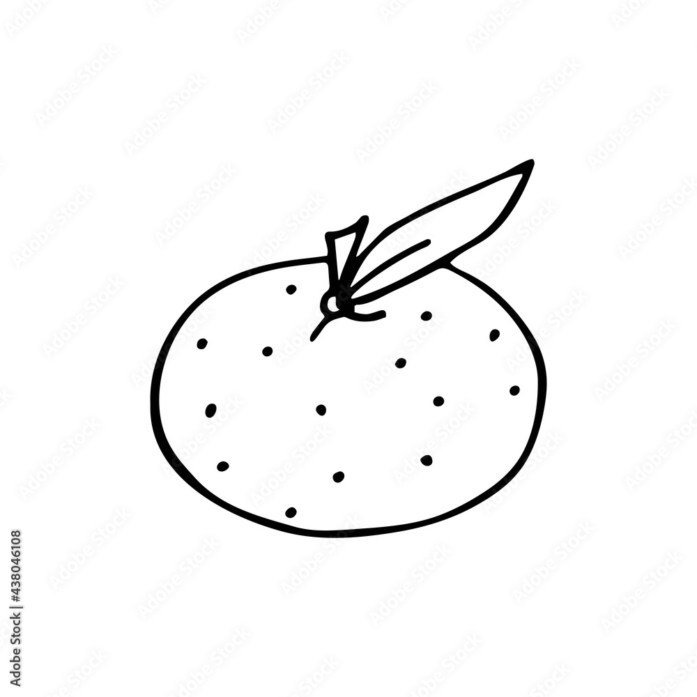 Obraz premium Vector illustration of mandarin with leaf in doodle style