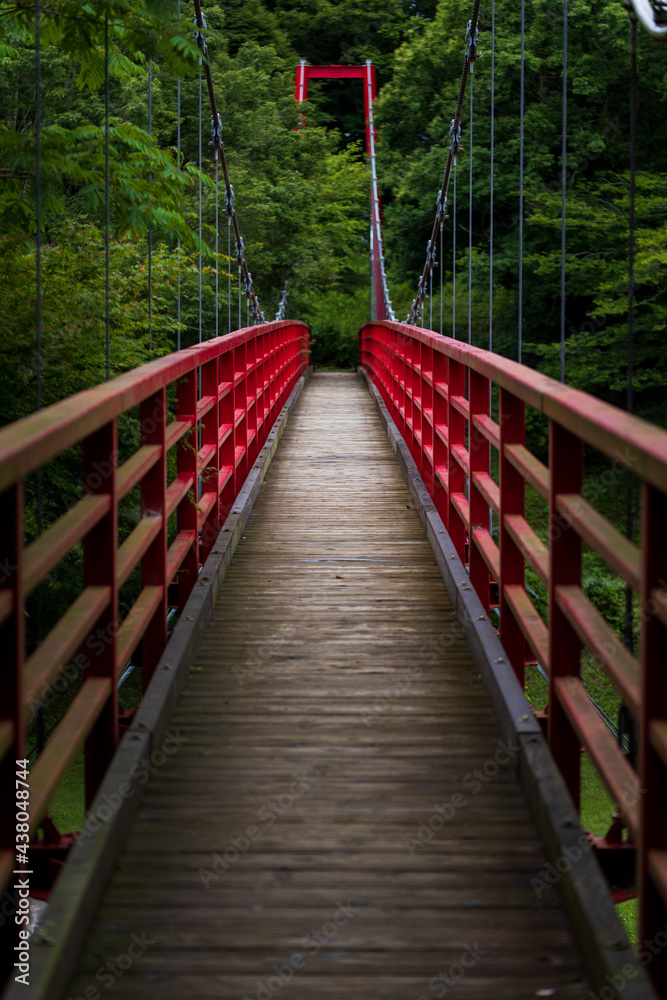 Obraz premium bridge in the forest