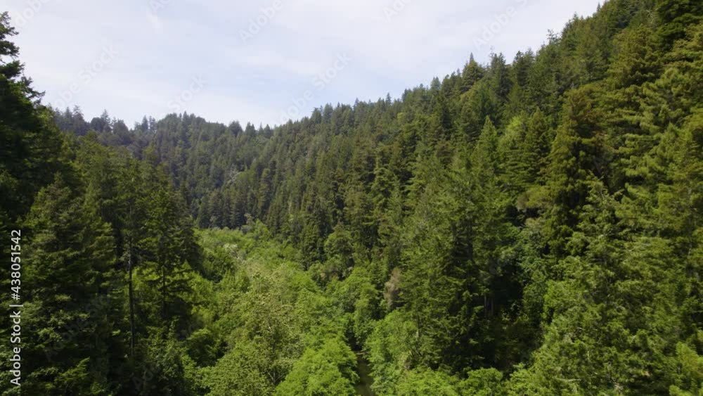 Aerial drone video of redwood forest and river in California mountains. Aerial drone video of redwood forest and river in California mountains.
