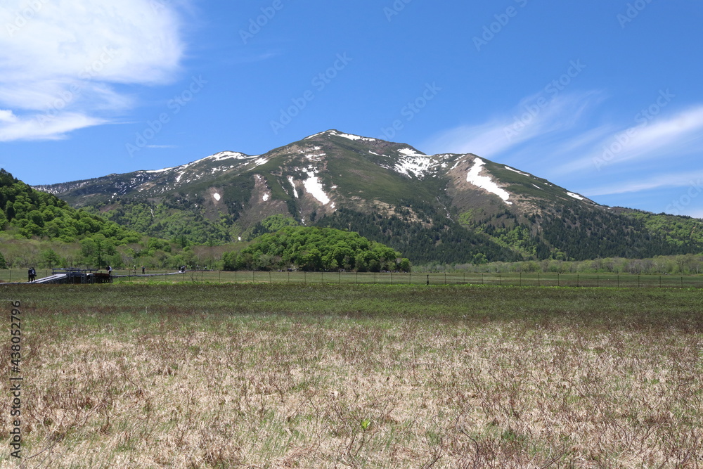 尾瀬/6月。　まだ水芭蕉が咲き残る初夏の尾瀬ヶ原。残雪を戴く至仏山。