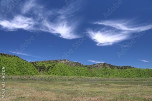 尾瀬/6月。 まだ水芭蕉が咲き残る初夏の尾瀬ヶ原。緑の山、青い空、白い雲
