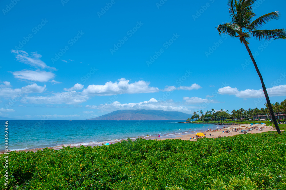 Shore dream tranquility. Scenic landscape view of beach on the Hawaiian Island of Maui.