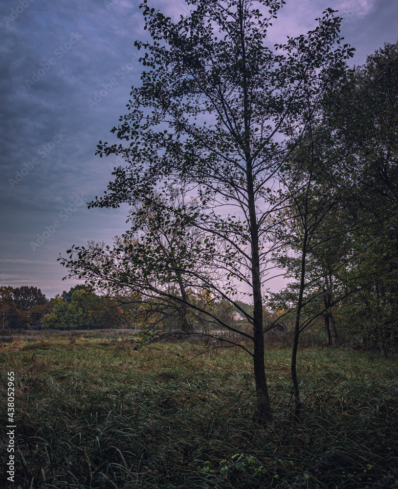 Obraz premium Autumn sunset