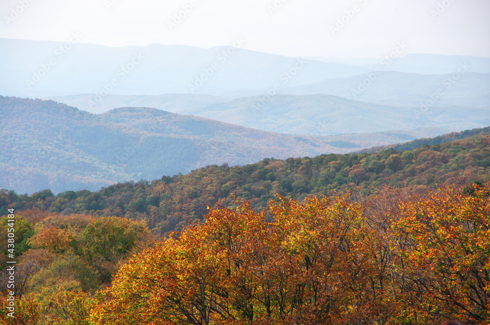 Autumnal landscape with mountains