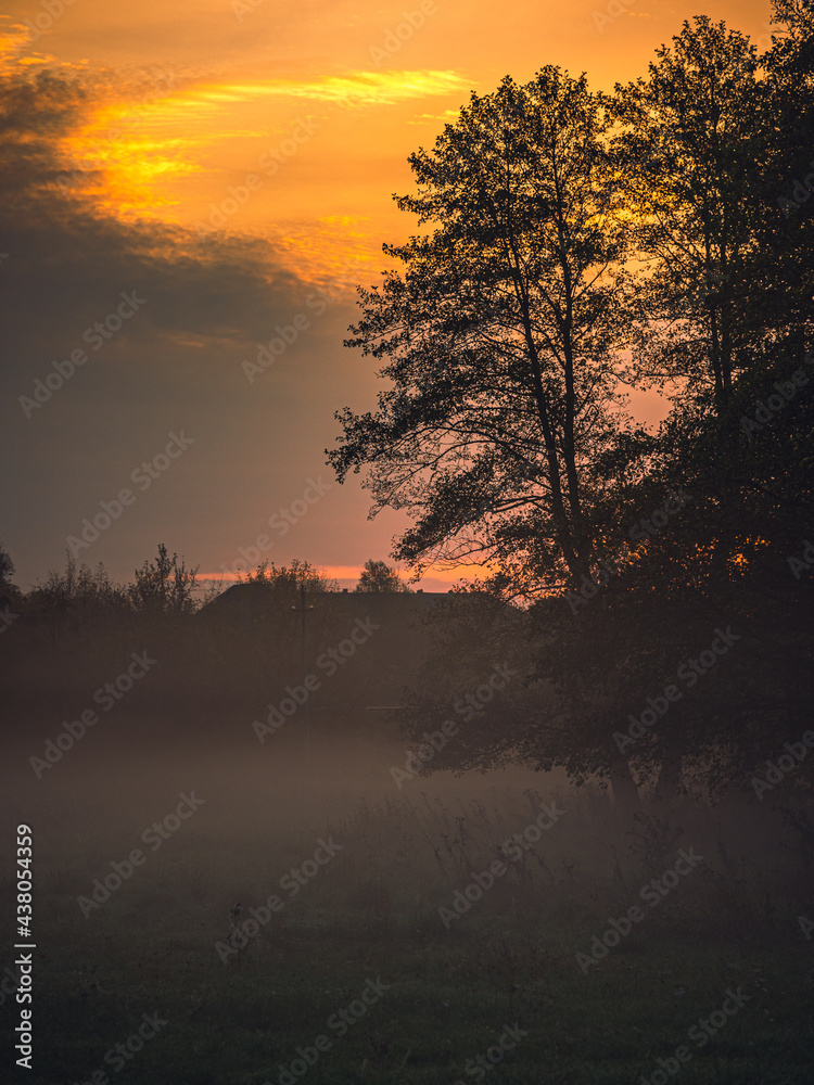 Fototapeta premium Autumn sunset