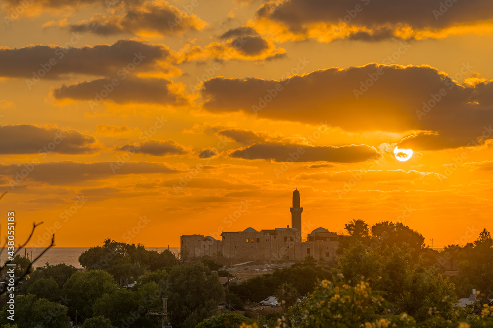 Obraz premium Sunset view of Sidna Ali Mosque and the Mediterranean Sea