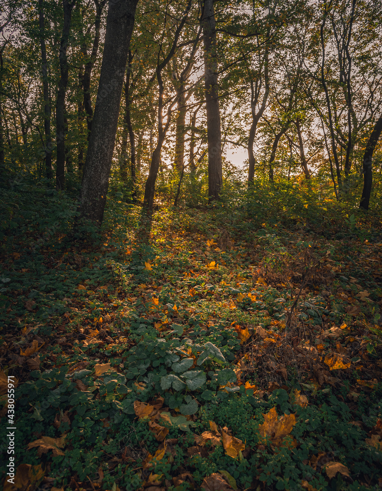 Autumn sunset Autumn sunset