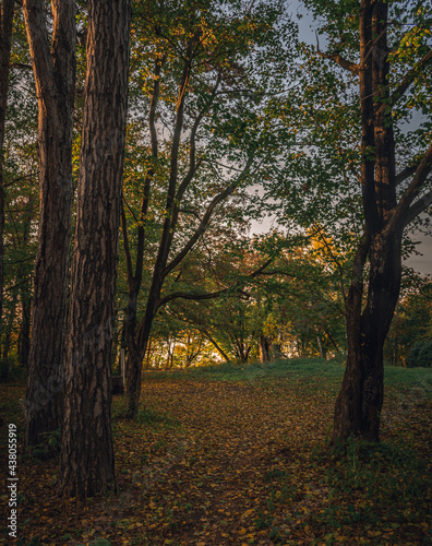 Autumn sunset