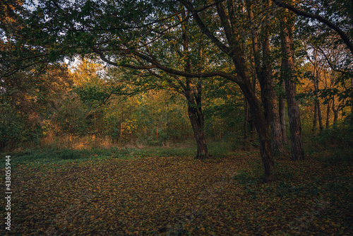 Autumn sunset