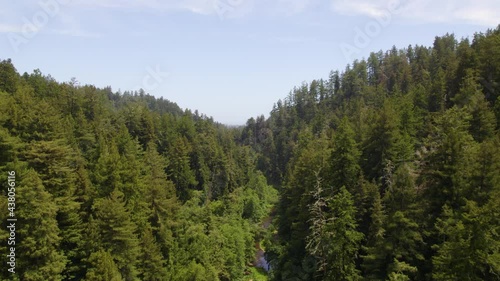 Wallpaper Mural Aerial drone video of redwood forest and river in California mountains. Torontodigital.ca