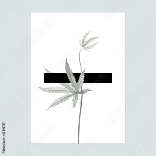 Poster template design, cannabis tree and black bar on white
