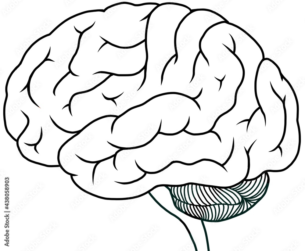 Aspects of the human brain .
Suitable for black and white printing. Aspects of the human brain .
Suitable for black and white printing.