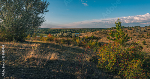 Summer landscape