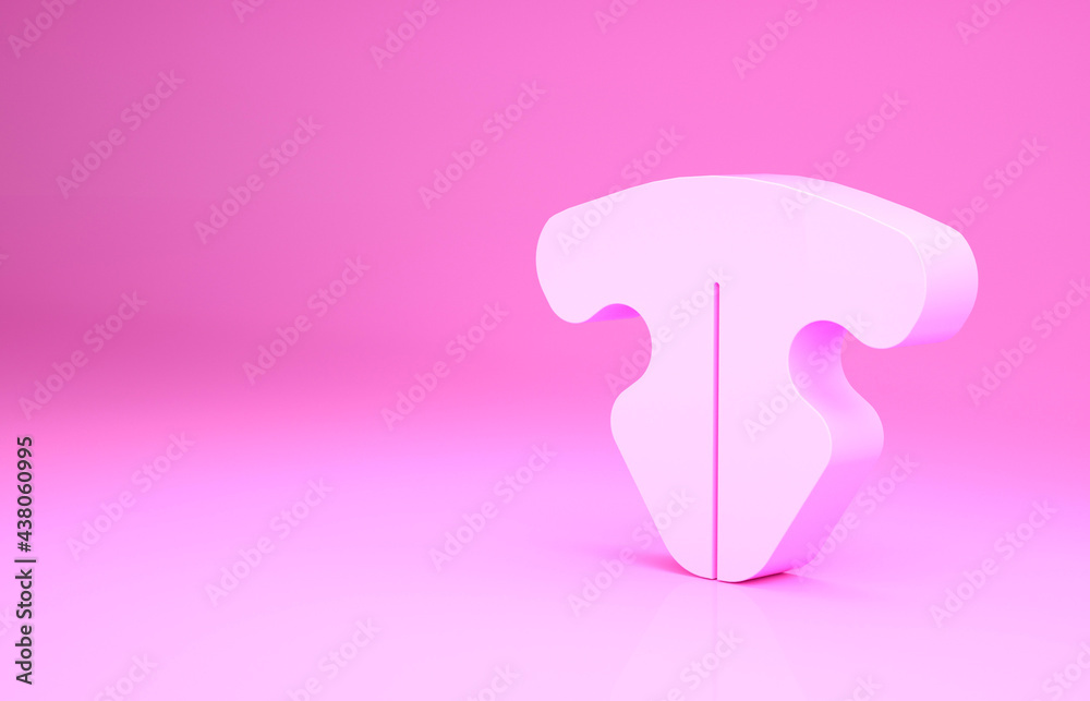 Pink Cat nose icon isolated on pink background. Minimalism concept. 3d illustration 3D render Pink Cat nose icon isolated on pink background. Minimalism concept. 3d illustration 3D render
