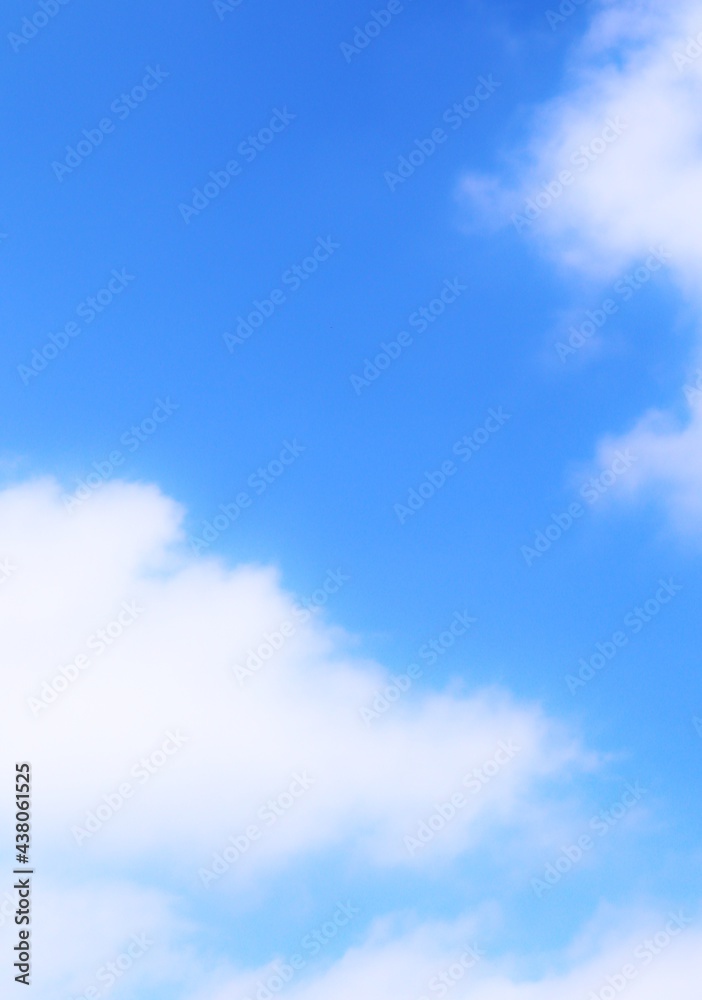 Obraz premium ふわふわな雲が浮かぶ優しい縦長の空画像
