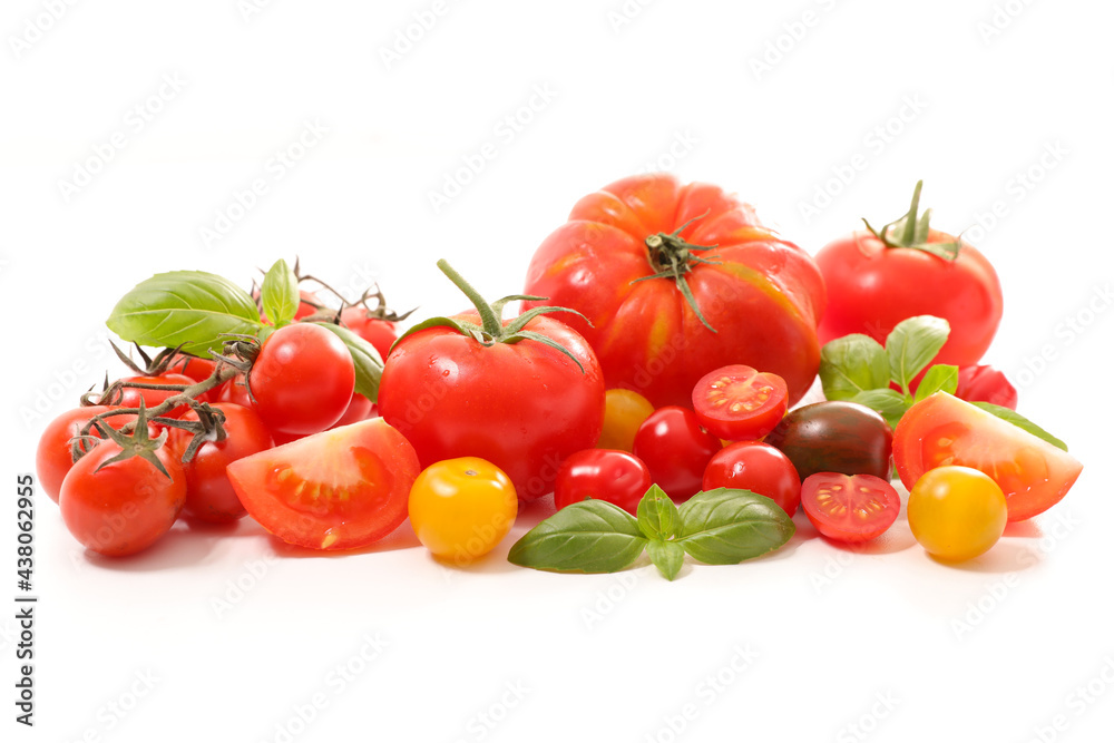 variety of tomatoes with basil on white background variety of tomatoes with basil on white background