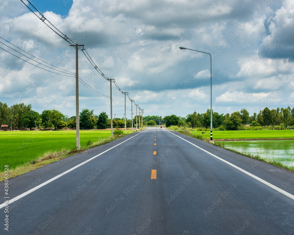 Road with electric poles.