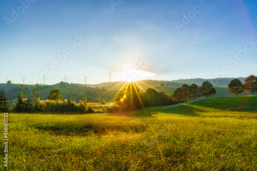 Green meadow grass field landscape view farms  © Torsak