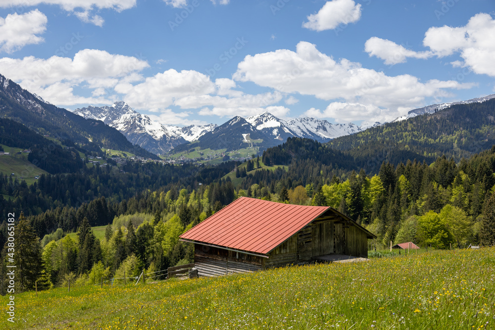 Holzhütte mit wunderschönem Alpenpanorama