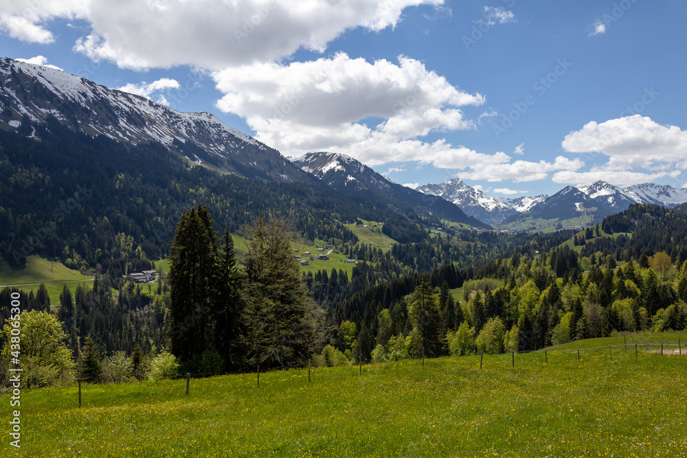 Alpenpanorama mit Schneebedeckten Gipfeln und grünen Wiesen und Bäumen