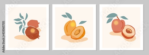 Abstract still life with peach, apricot, pomegranate fruit poster. Collection of contemporary art. Vector flat illustration. Hand drawn abstract fruits design for social media, postcards, print. 
