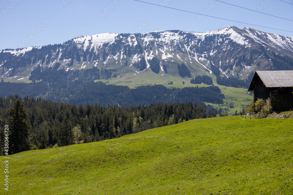 Alpenpanorama mit Schneebedeckten Gipfeln und grünen Wiesen und Bäumen