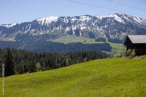 Alpenpanorama mit Schneebedeckten Gipfeln und grünen Wiesen und Bäumen