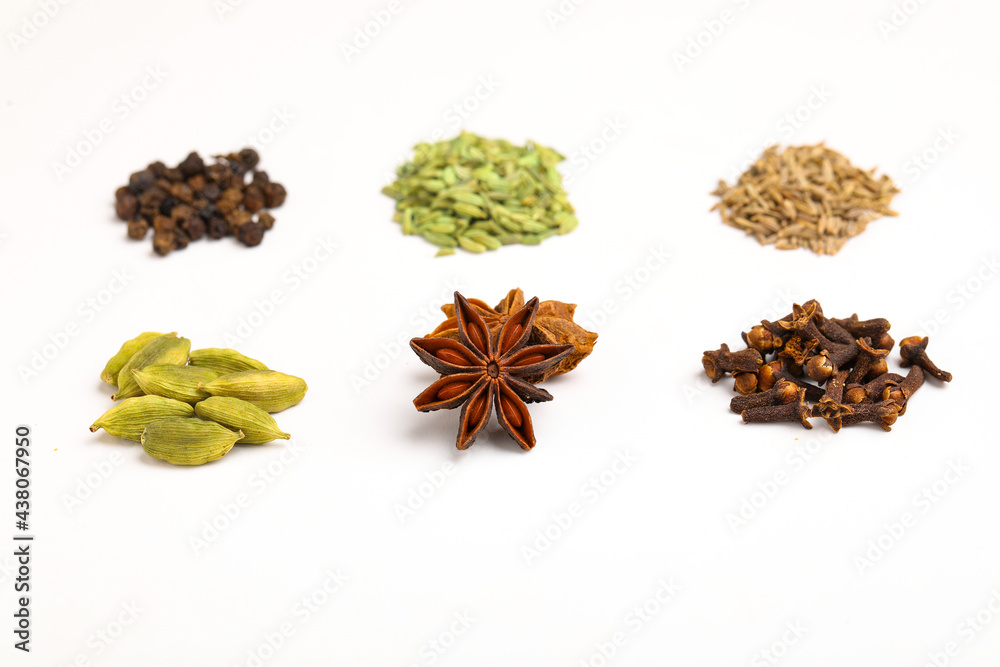 Indian spices and herbs on white background. Indian spices and herbs on white background.