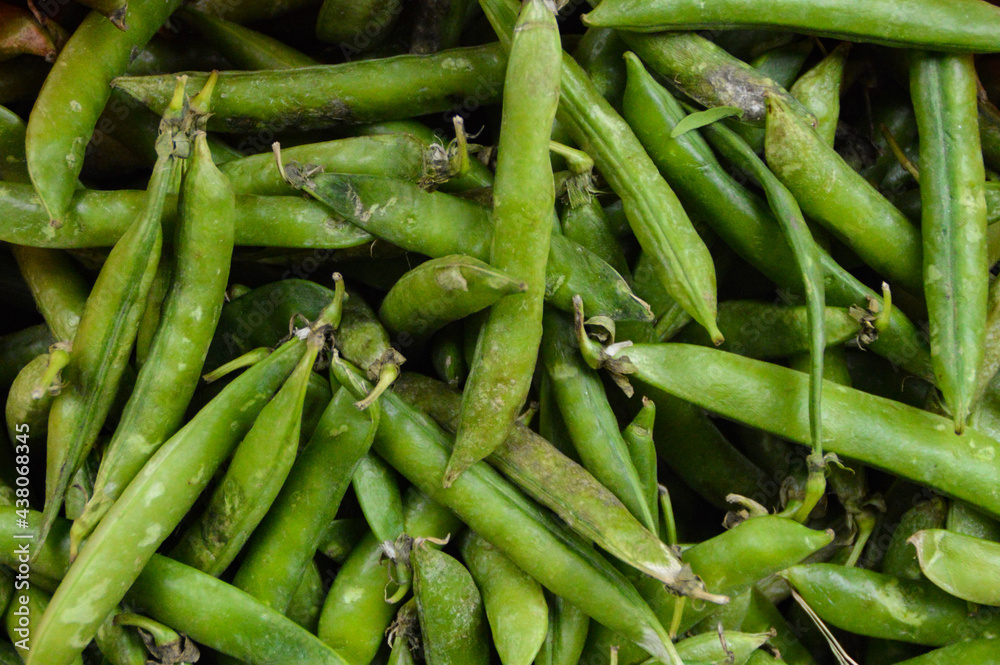 Close up of fresh pea pods sold in the market Close up of fresh pea pods sold in the market