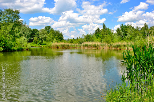 Pond or lake in the forest at summer sunny day, Stary Sacz, Poland