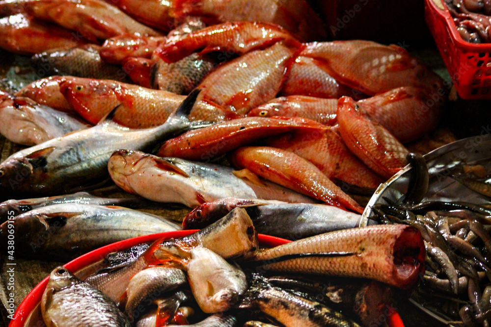 Close up of freshwater fishes like carps and mekong giant catfish or Pangasianodon gigas on a wet market in Phnom phen Cambodia Close up of freshwater fishes like carps and mekong giant catfish or Pangasianodon gigas on a wet market in Phnom phen Cambodia