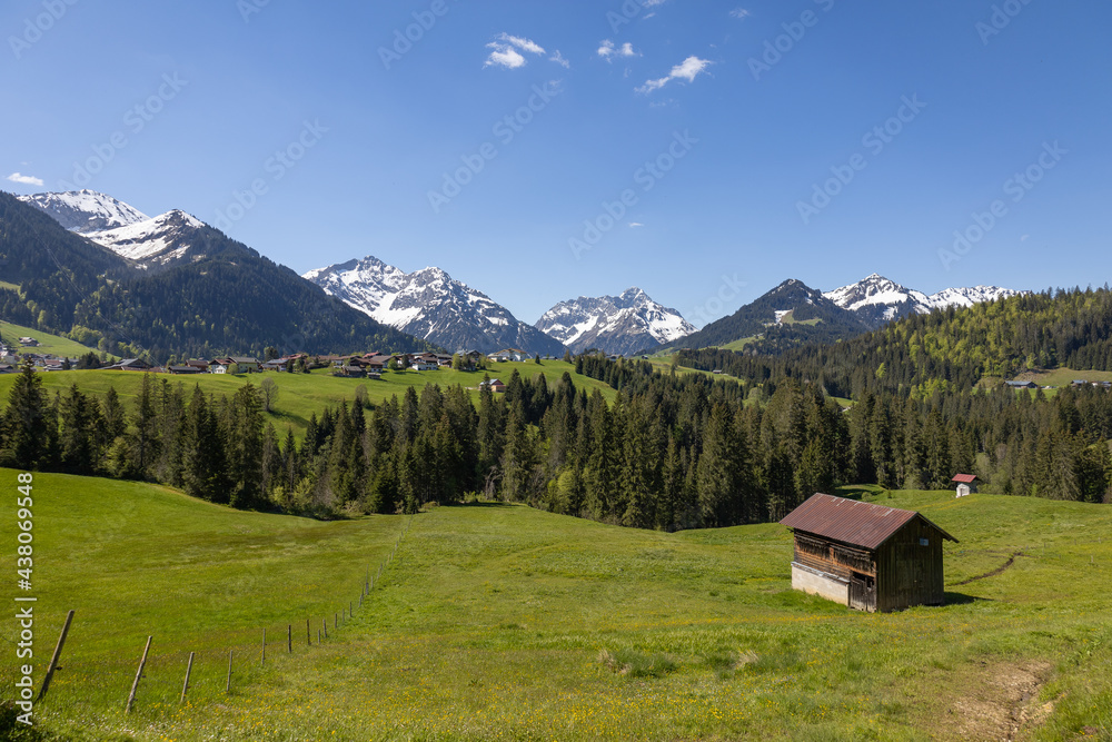 Holzhütte mit Alpenpanorama und einer Blumenwiese