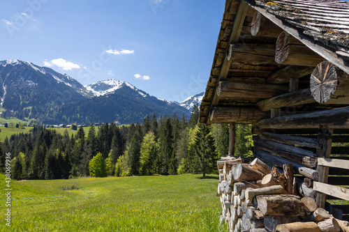 Wunderschöne Landschaft in den Alpen in Österreich mit grüner Natur