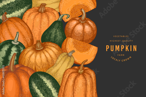 Pumpkin color design template. Vector hand drawn illustrations. Thanksgiving backdrop in retro style with pumpkin harvest. Autumn background.
