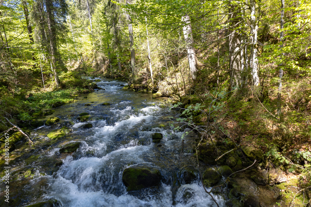 Wunderschöner Gebirgsfluss in den Alpen mit Panorama und kleinen Wasserfällen Wunderschöner Gebirgsfluss in den Alpen mit Panorama und kleinen Wasserfällen