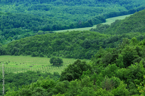 View from the hill in summer