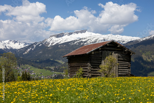 Holzhütte mit Alpenpanorama und einer Blumenwiese