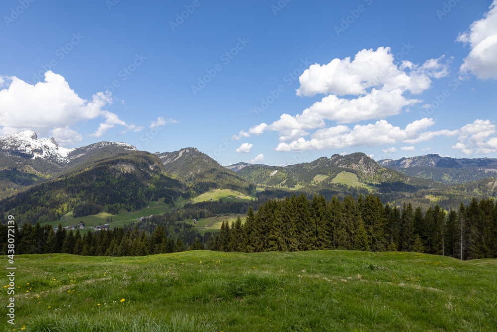 Wunderschöne Landschaft in den Alpen in Österreich mit grüner Natur