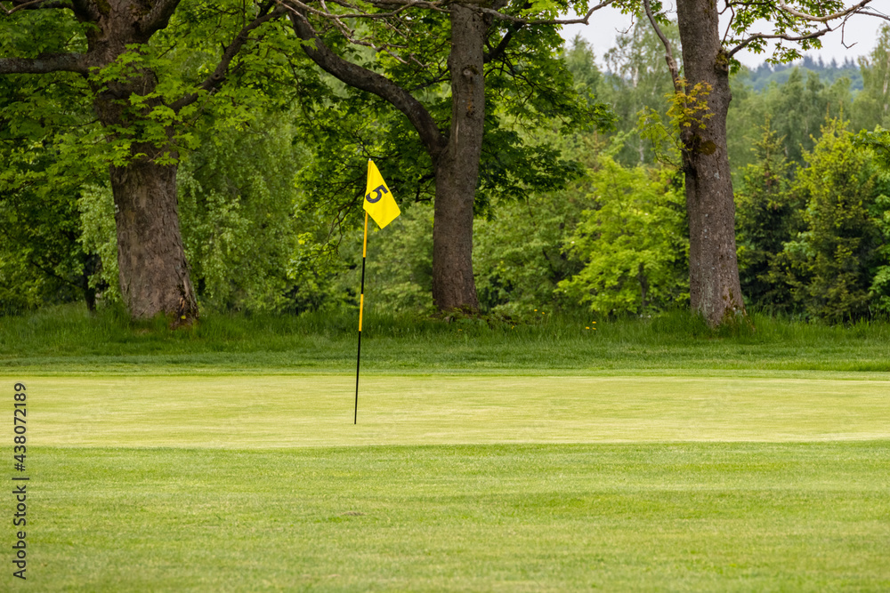 Golf green with flag in spring nature