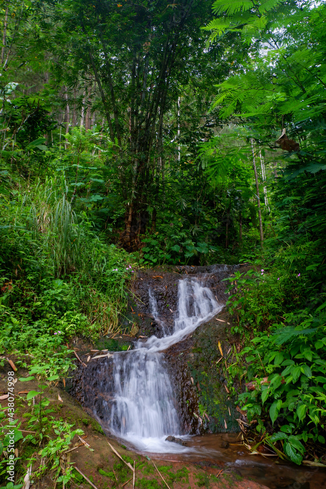 Obraz premium Photo of a waterfall that looks very beautiful and cool, Wonosobo, Indonesia