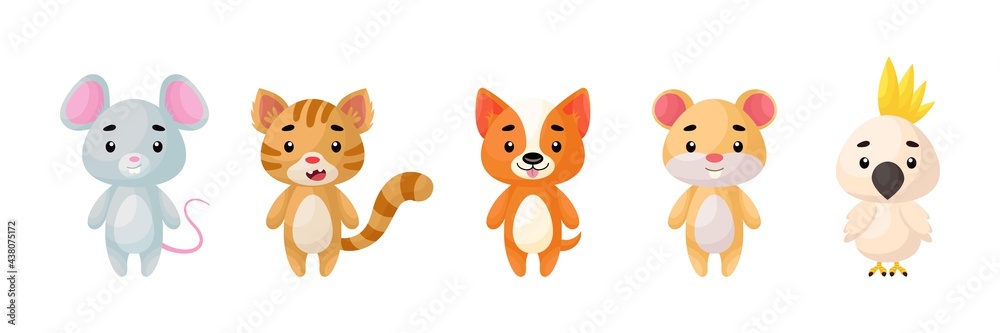 Cute pets animals set. Collection funny animals characters for kids cards, baby shower, birthday invitation, house interior. Bright colored childish vector illustration. Cute pets animals set. Collection funny animals characters for kids cards, baby shower, birthday invitation, house interior. Bright colored childish vector illustration.