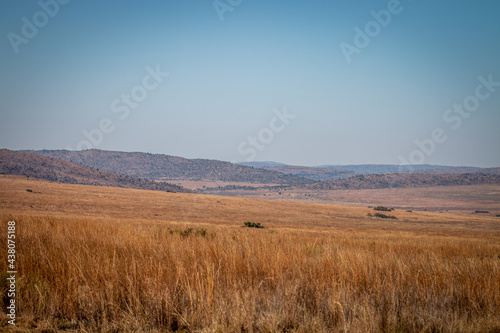 Landscape picture of the Waterberg.
