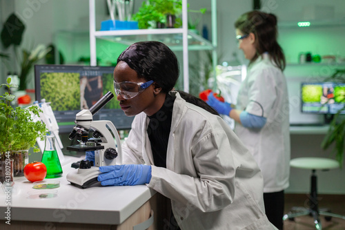 Biologist researcher examining organic leaf slide for medical expertise under microscope. Chemist scientist analyzing organic agriculture plants in microbiology scientific laboratory.