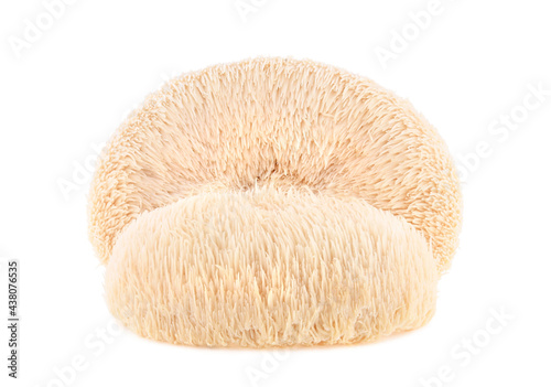 Lion mane mushroom isolated on white background.