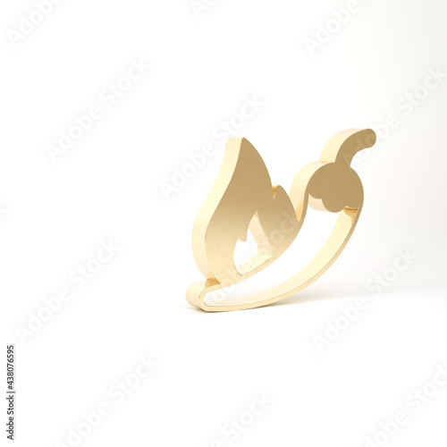 Gold Hot chili pepper pod icon isolated on white background. Design for grocery, culinary products, seasoning and spice package, cooking book. 3d illustration 3D render