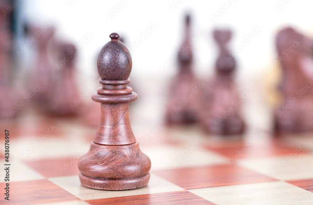 Chess pieces in chess Chess pieces in chess