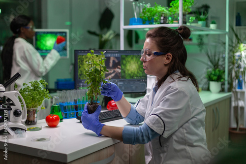 Biologist scientific doctor examining green sapling while typing on keyboard ecology expertise. womanresearcher observing genetic mutation on plants, working in agriculture laboratory.