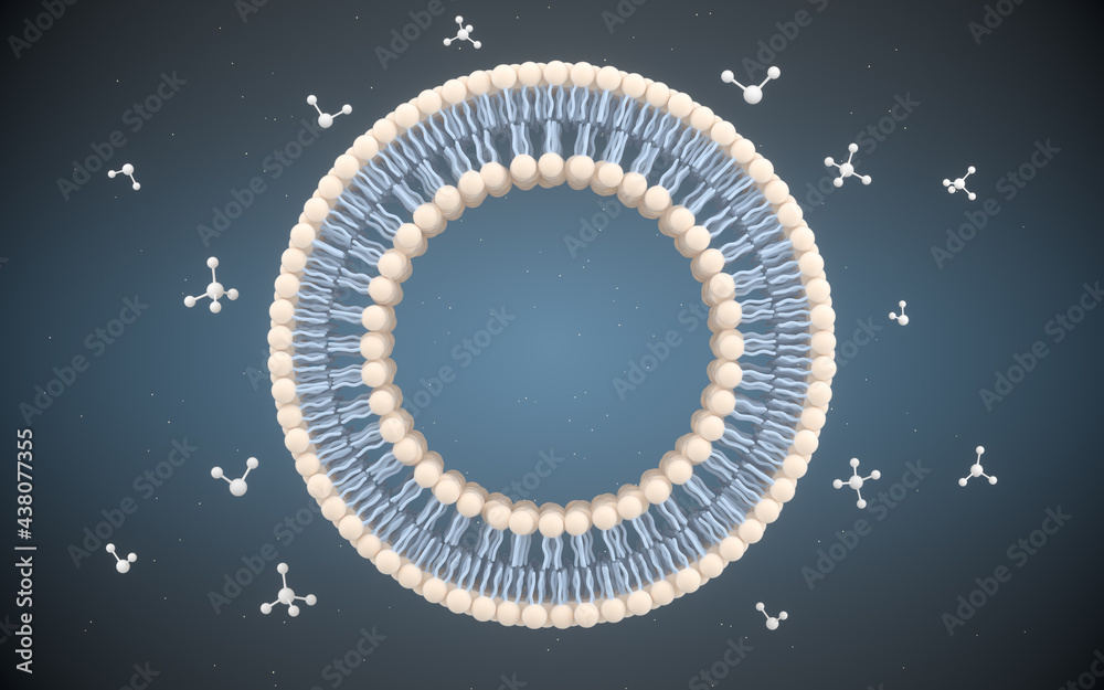 Cell Membrane and Molecules, 3d rendering. Cell Membrane and Molecules, 3d rendering.